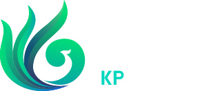 JN江南生物 – 创新多肽生物合成技术践行者